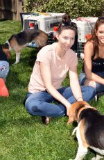 MARIA MENOUNOS at Beagle Freedom Project in Valley Village