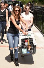 MARIA MENOUNOS at Beagle Freedom Project in Valley Village