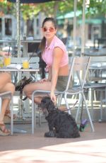 MICHELLE LEWIN in Tight Shorts Out for Lunch