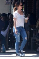 MINKA KELLY in Ripped Jeans Out for Lunch in West Hollywood