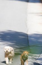 MINKA KELLY Walks Her Dogs Out in West Hollywood