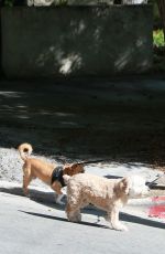 MINKA KELLY Walks Her Dogs Out in West Hollywood