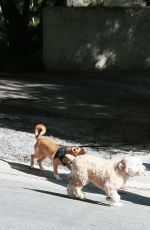 MINKA KELLY Walks Her Dogs Out in West Hollywood