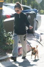 MINKA KELLY Walks Her Dogs Out in West Hollywood