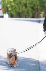 MINKA KELLY Walks Her Dogs Out in West Hollywood