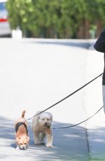 MINKA KELLY Walks Her Dogs Out in West Hollywood