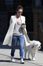OLIVIA WILDE Walks Her Dog Out in New York