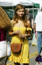 STEFANIE SCOTT Shopping at Farmers Market in Hollywood