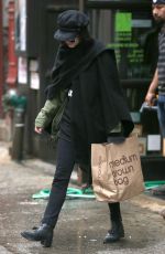 VANESSA HUDGENS Out Shopping in New York