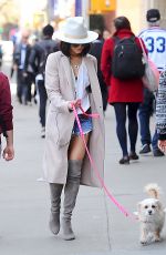 VANESSA HUDGENS Walks Her Dog at Washington Square Park in New York