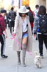 VANESSA HUDGENS Walks Her Dog at Washington Square Park in New York