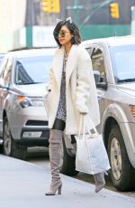 VANESSA HUDGENS Waring Cat Eats Out in New York