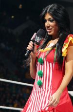 WWE - Raw Digitals 04/27/2015