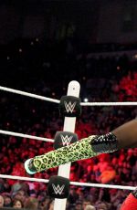 WWE - Raw Digitals 04/27/2015