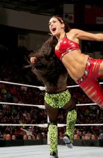 WWE - Raw Digitals 04/27/2015