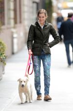 ALLISON WILLIAMS Walks Her Dog in New York