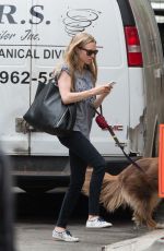 AMANDA SEYFRIED Meet Alec Baldwin in New York 05/11/2015