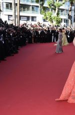 ANDIE MACDOWELL at Inside Out Premiere at Cannes Film Festival