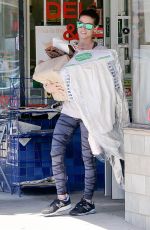 ASHLEY GREENE Out Shopping in Los Angeles 05/19/2015