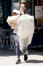 ASHLEY GREENE Out Shopping in Los Angeles 05/19/2015