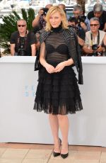 CATE BLANCHETT at Carol Photocall in Cannes
