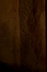 CYNTHIA ADDAI ROBINSON - Texas Rising Promos