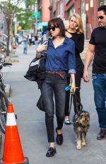 DAKOTA JOHNSON Walks Her Dog Out in New York 05/15/2015