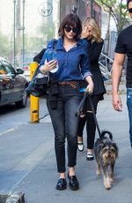 DAKOTA JOHNSON Walks Her Dog Out in New York 05/15/2015