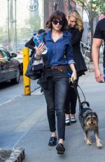 DAKOTA JOHNSON Walks Her Dog Out in New York 05/15/2015