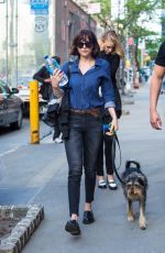 DAKOTA JOHNSON Walks Her Dog Out in New York 05/15/2015