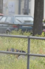 EVA PADBERG Walks Her Dog Out in Berlin 05/28/2015