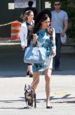 FAMKE JANSSEN Walks Her Dog Out in New York 05/07/2015