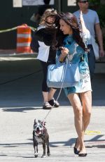 FAMKE JANSSEN Walks Her Dog Out in New York 05/07/2015