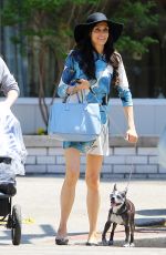 FAMKE JANSSEN Walks Her Dog Out in New York 05/07/2015