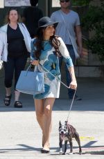 FAMKE JANSSEN Walks Her Dog Out in New York 05/07/2015