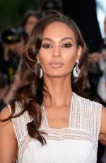 JOAN SMALLS at Youth Premiere at Cannes Film Festival