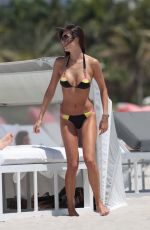 JULIA PEREIRA in Bikini at a Beach in Miami 05/03/2015