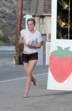 MILEY CYRUS in SHorts Out and About in Los Angeles 04/30/2015