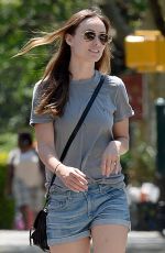 OLIVIA WILDE in Jeans Shorts Out and About in Brooklyn 05/29/2015