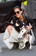 OLIVIA WILDE Out with Her Dog in New York 05/03/2015