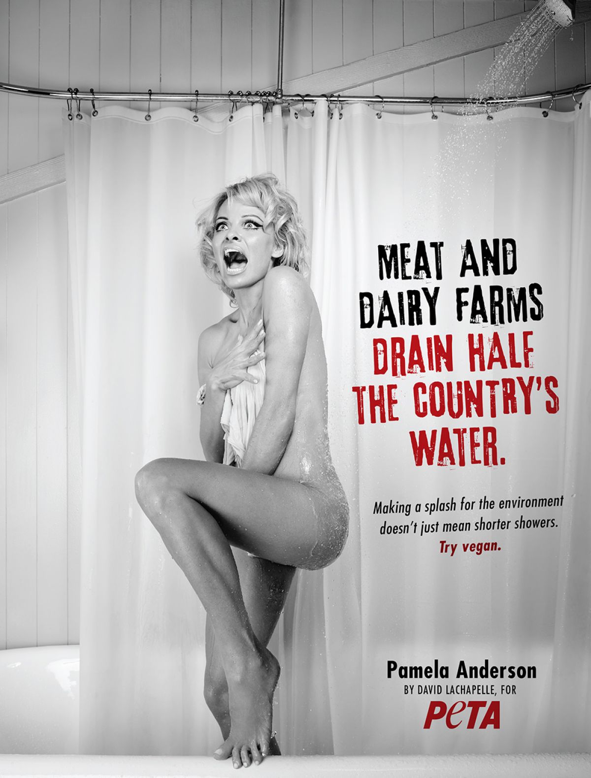 PAMELA ANDERSON by David Lachapelel for Peta PAMELA ANDERSON by David Lachapelel for Peta