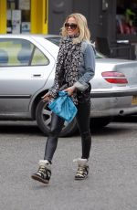SARAH HARDING Walks Her Dog Out in Primrose Hill 05/07/2015