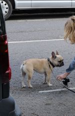 SARAH HARDING Walks Her Dog Out in Primrose Hill 05/07/2015