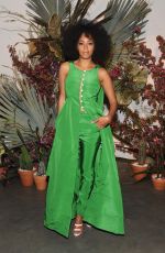SOLANGE KNOWLES at Pioneer Works 2nd Annual Village Fete in New York