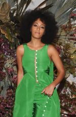 SOLANGE KNOWLES at Pioneer Works 2nd Annual Village Fete in New York