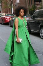 SOLANGE KNOWLES at Pioneer Works 2nd Annual Village Fete in New York