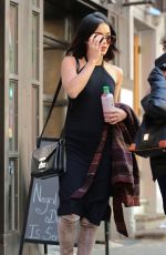 VANESSA HUDGENS Walks Her Dog Out in New York 05/14/2015