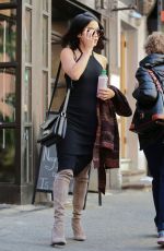 VANESSA HUDGENS Walks Her Dog Out in New York 05/14/2015