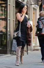 VANESSA HUDGENS Walks Her Dog Out in New York 05/14/2015