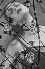 ALEXANDRA DADDARIO in Flaunt Magazine, June 2015 Issue